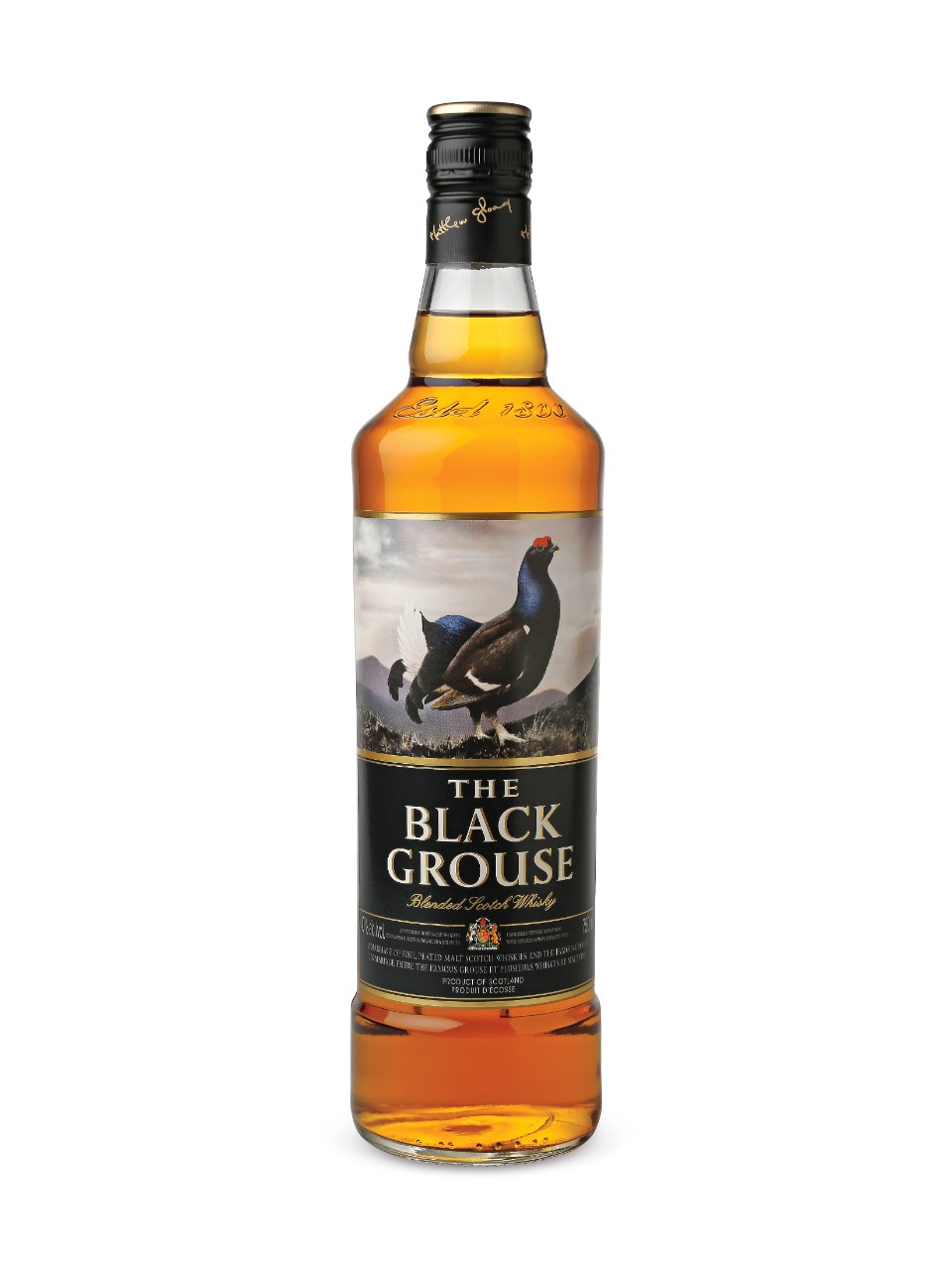 The Black Grouse Scotch Whisky