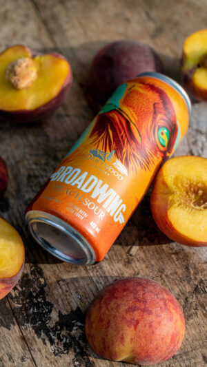 Driftwood Brewery - Broadwing Peach Sour Tall Can 473ml