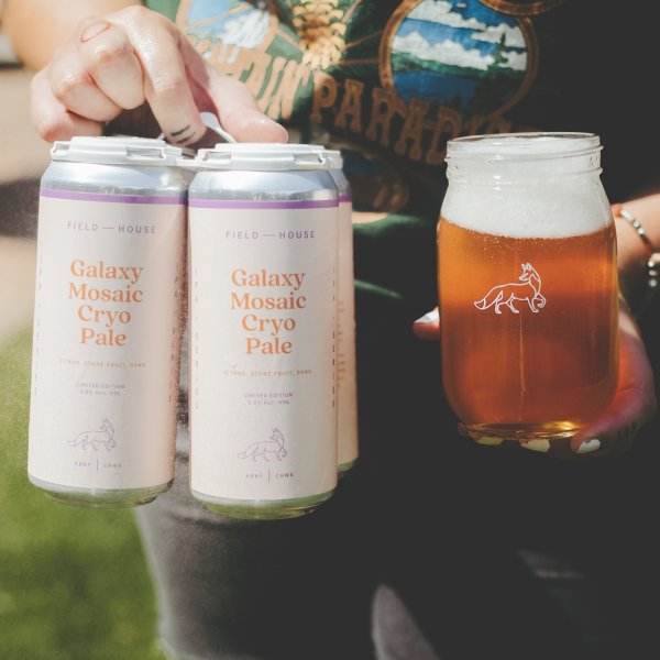 » FIELD GALAXY MOSAIC 4P