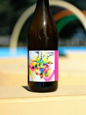 Rigour And Whimsy -  Return To The Beginning  750ml