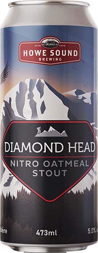 HOWE NITRO STOUT CAN - 473M