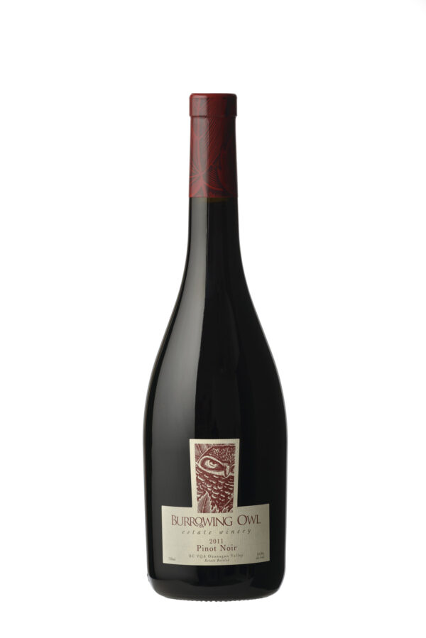 BURROWIN PNOIR 2011 - 750M