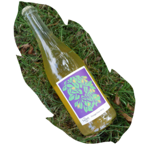 Twin Island Cider - Forage Fine Perry 750ml