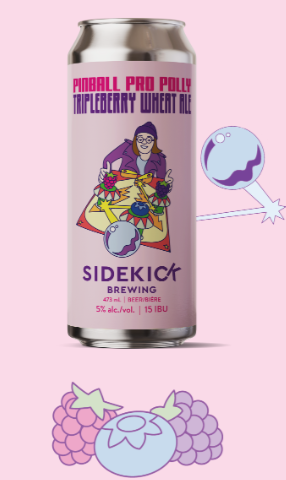 SIDEKICK PINBALL PRO - 473M