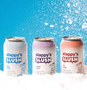 SLAPPY S SLUSH D MIX - 12P