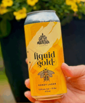 COAST MT HONEY LAGER - 473M