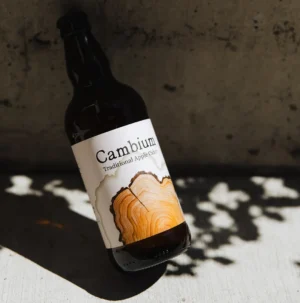 Cambium Cider Co. - Traditional Dry Apple 500ml