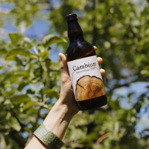 Cambium Cider Co. - Apricot Ginger 500ml