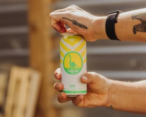 Bna Brewing - Dlyd Tall Can 4x 473ml