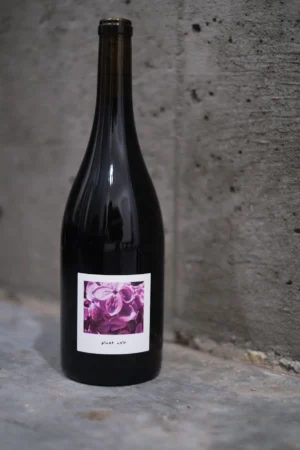 ELSE PINOT NOIR 2025 - 750M